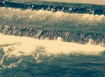 P_20180612_141952_1_1_1_1_1.jpg